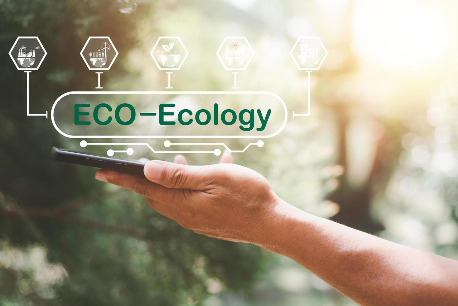 Digital Innovation in Environmental Conservation