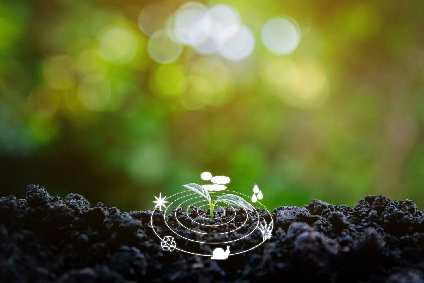 Get a Free Organic Superfood Sample – Feed Someone in Need