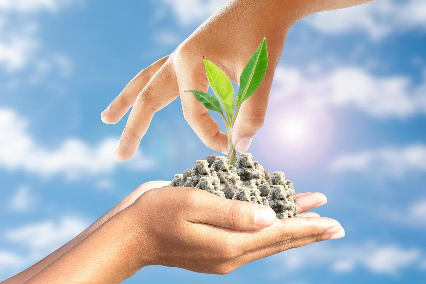 Protecting Nature Through Community Action